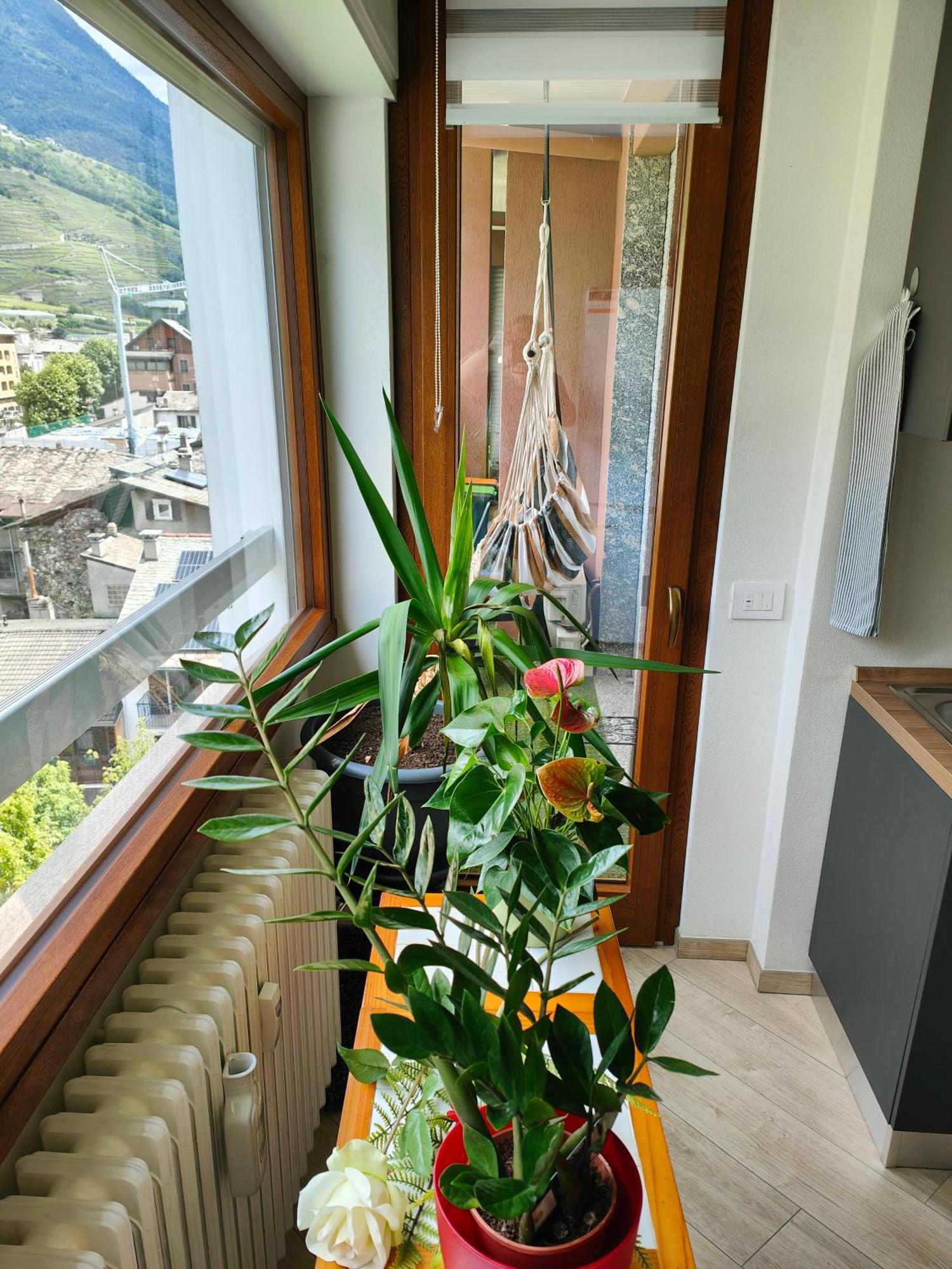 Apartamento Alfiume B Tirano Exterior foto