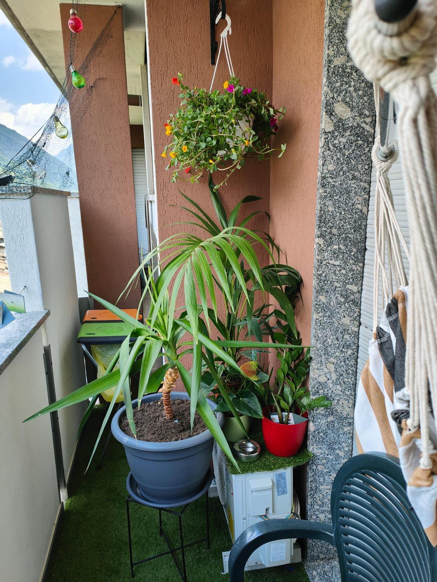 Apartamento Alfiume B Tirano Exterior foto